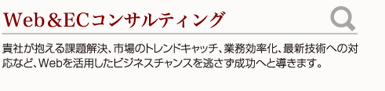 Web&ECコンサルティング