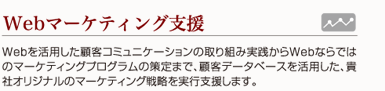 Webマーケティング支援
