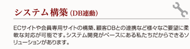 システム構築（DB連動）